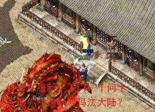 ����˽���������ţ�ʮ��ʮ��������ٳ����귨��½��