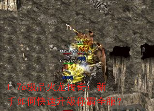 1.76��Ʒ�������棺������ο��������ư�ȫ����