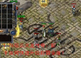 1.76��Ʒ�������棺������ο��������ư�ȫ����