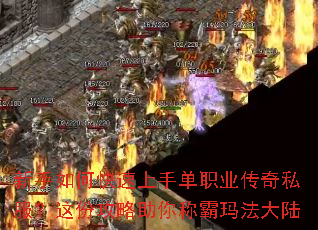 ������ο������ֵ�ְҵ����˽������ݹ�������ư��귨��½