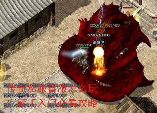 ����˽���׷���ô�棿�������űؿ�����