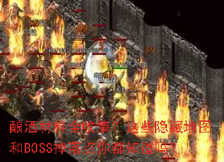 ��Ʋ���ȫ�ռ�����Щ���ص�ͼ��BOSS������㶼֪����