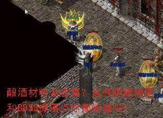 ��Ʋ���ȫ�ռ�����Щ���ص�ͼ��BOSS������㶼֪����