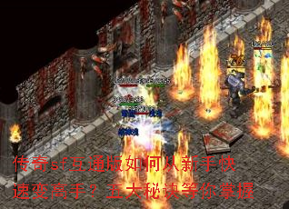 ����sf��ͨ����δ����ֿ��ٱ���֣�����ؾ���������