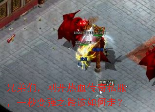 �ֵ��ǣ��տ���Ѫ����˽����һ���ǿ֮·������ߣ�