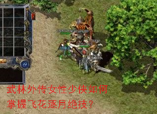 武林外传女性少侠如何掌握飞花逐月绝技? 武林外传女性少侠如何掌握飞花逐月绝技?