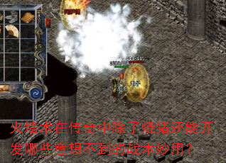 火墙术在传奇中除了烧猪还能开发哪些意想不到的战术妙用? 火墙术在传奇中除了烧猪还能开发哪些意想不到的战术妙用?