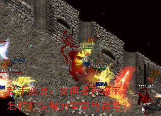 新手必读:如何提升爆率?怎样打造强力宝宝与称号? 新手必读:如何提升爆率?怎样打造强力宝宝与称号?