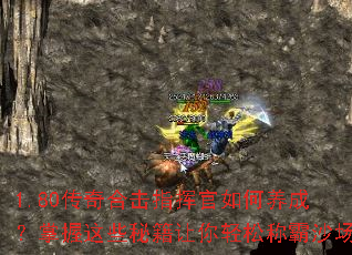 1.80传奇合击指挥官如何养成?掌握这些秘籍让你轻松称霸沙场 1.80传奇合击指挥官如何养成?掌握这些秘籍让你轻松称霸沙场