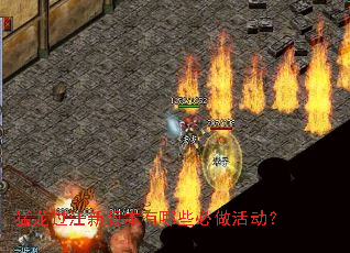 猛龙过江新版本有哪些必做活动? 猛龙过江新版本有哪些必做活动?
