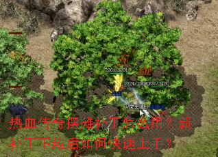 热血传奇摆摊补丁怎么用?新补丁下载后如何快速上手? 热血传奇摆摊补丁怎么用?新补丁下载后如何快速上手?