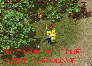 征战星王合击传奇:新手如何快速上手?纵横沙场全攻略 征战星王合击传奇:新手如何快速上手?纵横沙场全攻略