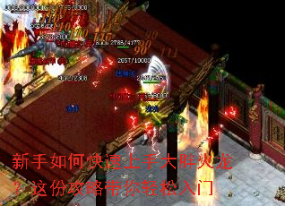 新手如何快速上手大胖火龙?这份攻略带你轻松入门 新手如何快速上手大胖火龙?这份攻略带你轻松入门