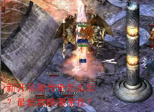 新开私服传奇怎么玩?最新攻略哪里找? 新开私服传奇怎么玩?最新攻略哪里找?