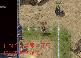 传奇合击新服,开局称霸有哪些秘诀? 传奇合击新服,开局称霸有哪些秘诀?