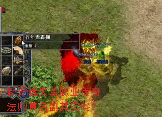 新开迷失单职业传奇法师真名副其实吗? 新开迷失单职业传奇法师真名副其实吗?