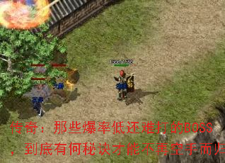 传奇:那些爆率低还难打的BOSS,到底有何秘诀才能不再空手而归? 传奇:那些爆率低还难打的BOSS,到底有何秘诀才能不再空手而归?