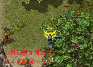 传奇玩家如何选行会才能称霸一方? 传奇玩家如何选行会才能称霸一方?