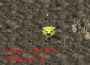 传奇战士,哪个属性才是真正的王道? 传奇战士,哪个属性才是真正的王道?