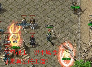 传奇战士,哪个属性才是真正的王道? 传奇战士,哪个属性才是真正的王道?