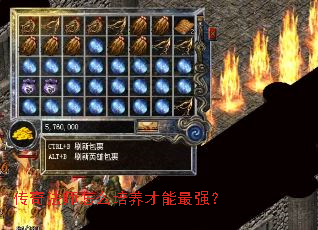 传奇法师怎么培养才能最强? 传奇法师怎么培养才能最强?
