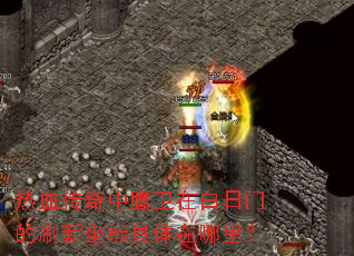 ��Ѫ������ӥ���ڰ����ŵ�ˢ��������������