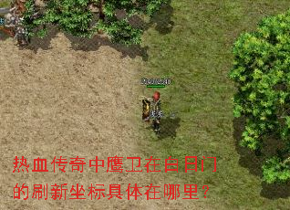 ��Ѫ������ӥ���ڰ����ŵ�ˢ��������������