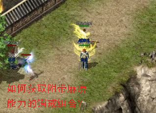 如何获取附带麻痹能力的镯戒组合? 如何获取附带麻痹能力的镯戒组合?