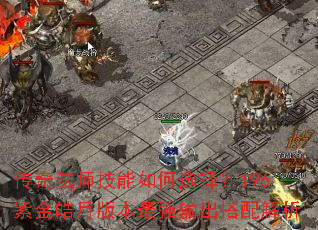 传奇法师技能如何选择?196紫金皓月版本最强输出搭配解析 传奇法师技能如何选择?196紫金皓月版本最强输出搭配解析