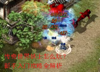 传奇世界妖士怎么玩?新手入门攻略全解析 传奇世界妖士怎么玩?新手入门攻略全解析