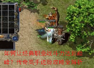 如何让经典职业战斗力达到巅峰?传奇高手进阶攻略全解析 如何让经典职业战斗力达到巅峰?传奇高手进阶攻略全解析