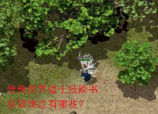 传奇世界道士技能书获取地点有哪些? 传奇世界道士技能书获取地点有哪些?