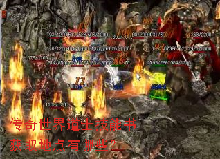 传奇世界道士技能书获取地点有哪些? 传奇世界道士技能书获取地点有哪些?