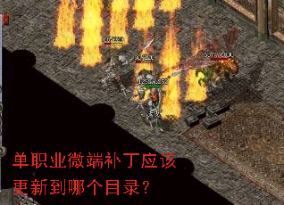 单职业微端补丁应该更新到哪个目录? 单职业微端补丁应该更新到哪个目录?