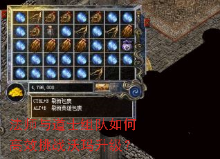 法师与道士组队如何高效挑战沃玛升级? 法师与道士组队如何高效挑战沃玛升级?