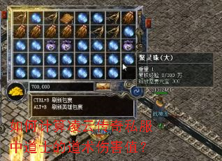 如何计算凌云传奇私服中道士的道术伤害值? 如何计算凌云传奇私服中道士的道术伤害值?