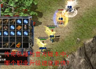 传奇私服与官方版本中,哪个职业升级速度更快? 传奇私服与官方版本中,哪个职业升级速度更快?