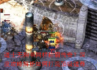 道士无狗书同样称霸传奇?深度攻略解析如何打造顶级道尊 道士无狗书同样称霸传奇?深度攻略解析如何打造顶级道尊