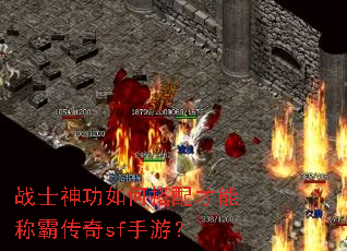 战士神功如何搭配才能称霸传奇sf手游? 战士神功如何搭配才能称霸传奇sf手游?