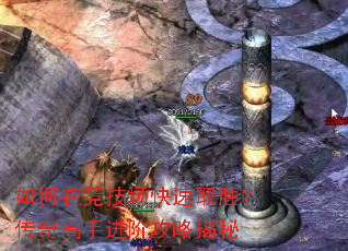 如何在竞技场快速取胜?传奇高手进阶攻略揭秘 如何在竞技场快速取胜?传奇高手进阶攻略揭秘