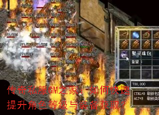 ����˽��GM֮�ң���ο���������ɫ�ȼ���װ����ȡ��