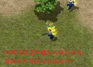 如何快速提升盛大传奇私服合击版角色等级与装备战力? 如何快速提升盛大传奇私服合击版角色等级与装备战力?