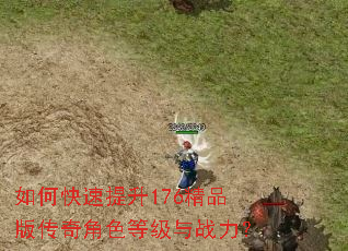 如何快速提升176精品版传奇角色等级与战力? 如何快速提升176精品版传奇角色等级与战力?