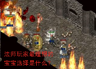 法师玩家最理想的宝宝选择是什么? 法师玩家最理想的宝宝选择是什么?