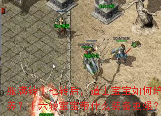服满转十七转后,道士宝宝如何培养?十六转宝宝带什么装备更强? 服满转十七转后,道士宝宝如何培养?十六转宝宝带什么装备更强?