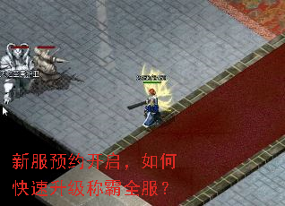 新服预约开启,如何快速升级称霸全服? 新服预约开启,如何快速升级称霸全服?