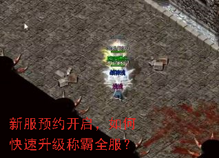 新服预约开启,如何快速升级称霸全服? 新服预约开启,如何快速升级称霸全服?