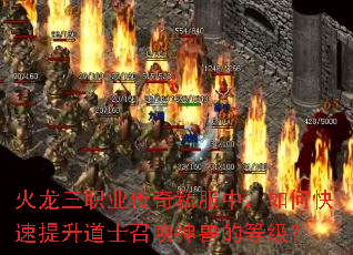 火龙三职业传奇私服中,如何快速提升道士召唤神兽的等级? 火龙三职业传奇私服中,如何快速提升道士召唤神兽的等级?
