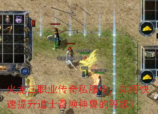 火龙三职业传奇私服中,如何快速提升道士召唤神兽的等级? 火龙三职业传奇私服中,如何快速提升道士召唤神兽的等级?
