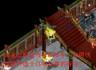 火龙三职业传奇私服中,如何快速提升道士召唤神兽的等级? 火龙三职业传奇私服中,如何快速提升道士召唤神兽的等级?